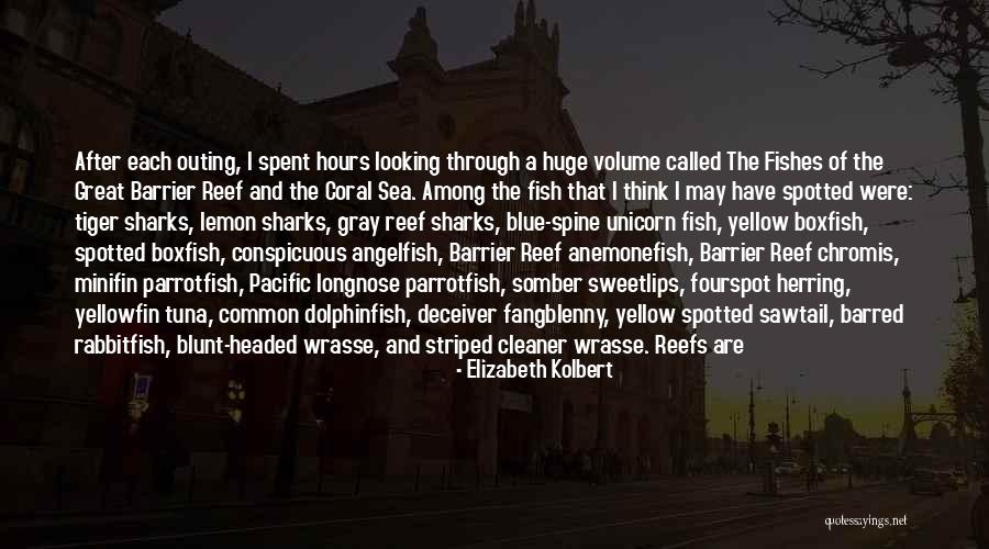 Reef Fish Quotes By Elizabeth Kolbert Reef Fish Quotes By Elizabeth Kolbert