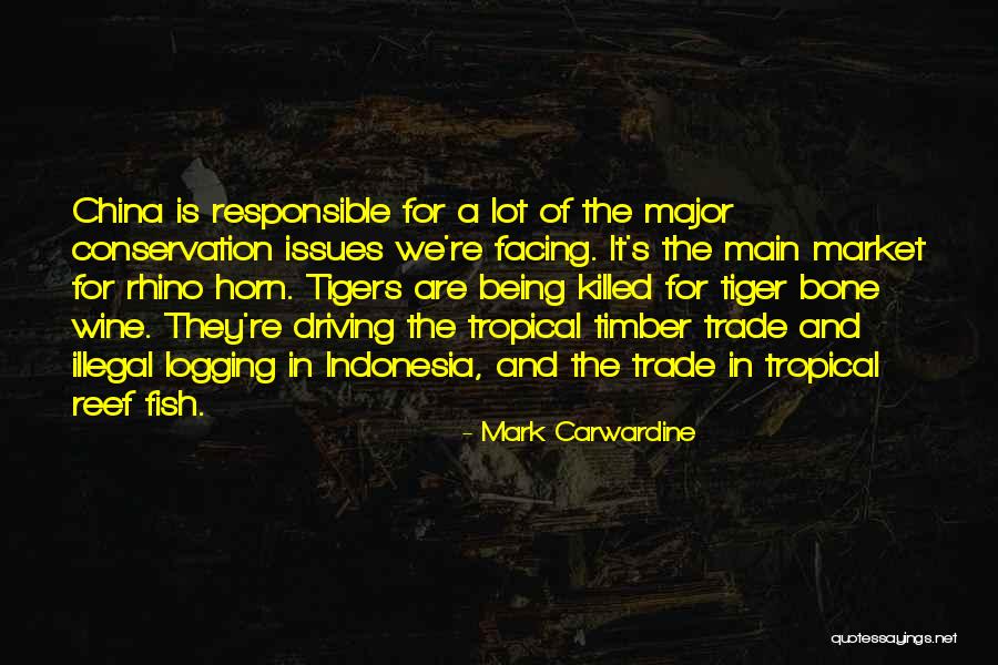 Reef Fish Quotes By Mark Carwardine Reef Fish Quotes By Mark Carwardine