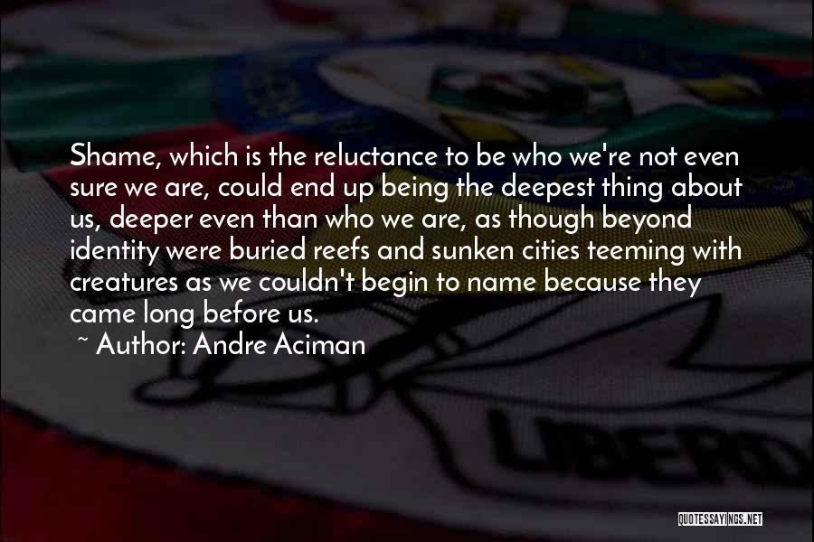 Reefs Quotes By Andre Aciman