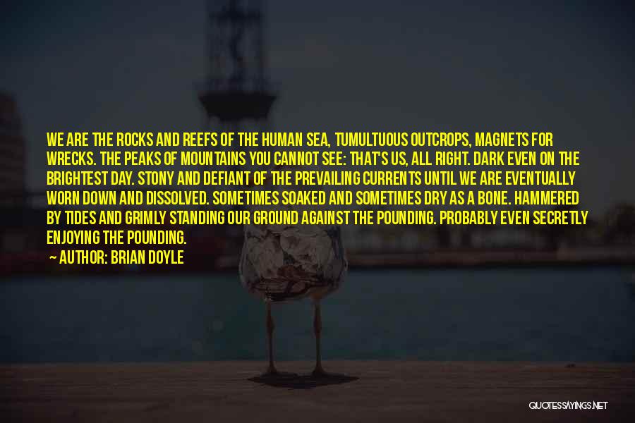 Reefs Quotes By Brian Doyle