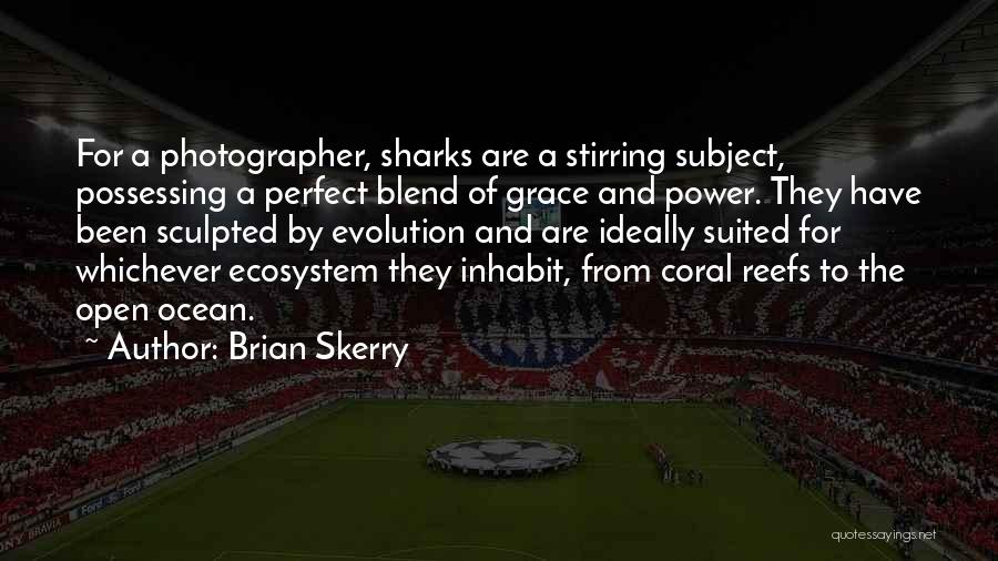 Reefs Quotes By Brian Skerry