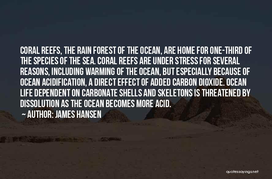 Reefs Quotes By James Hansen