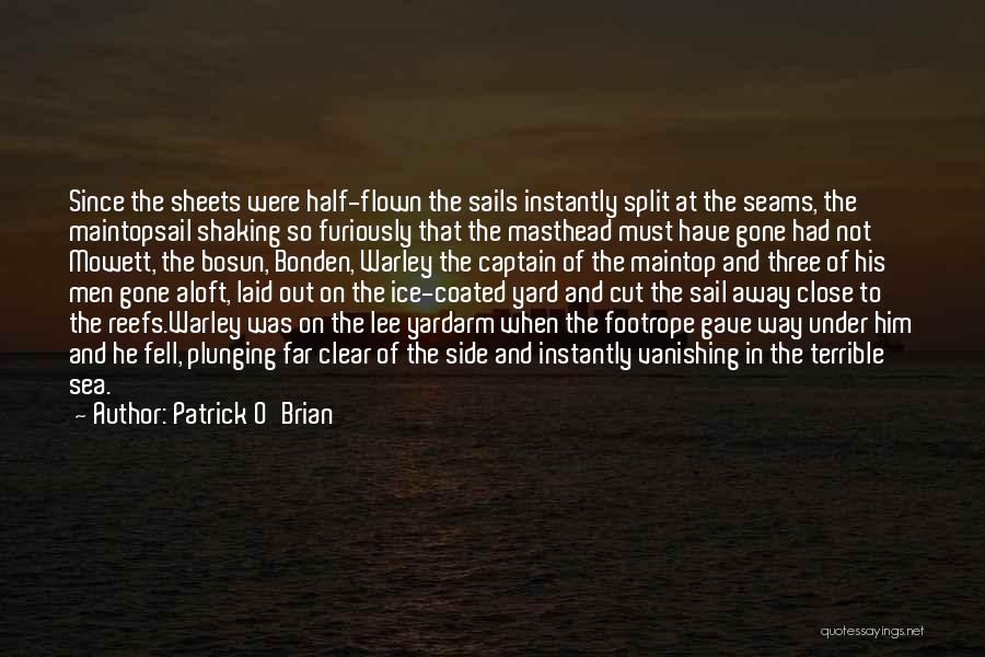 Reefs Quotes By Patrick O'Brian