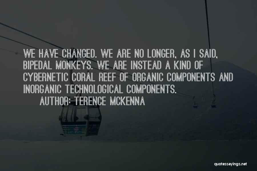 Reefs Quotes By Terence McKenna