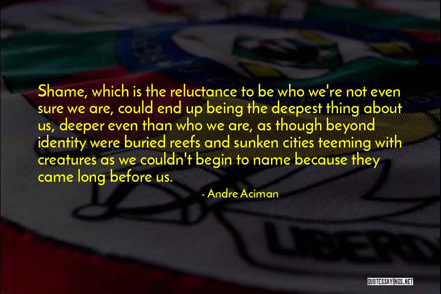Reegeit Quotes By Andre Aciman Reegeit Quotes By Andre Aciman