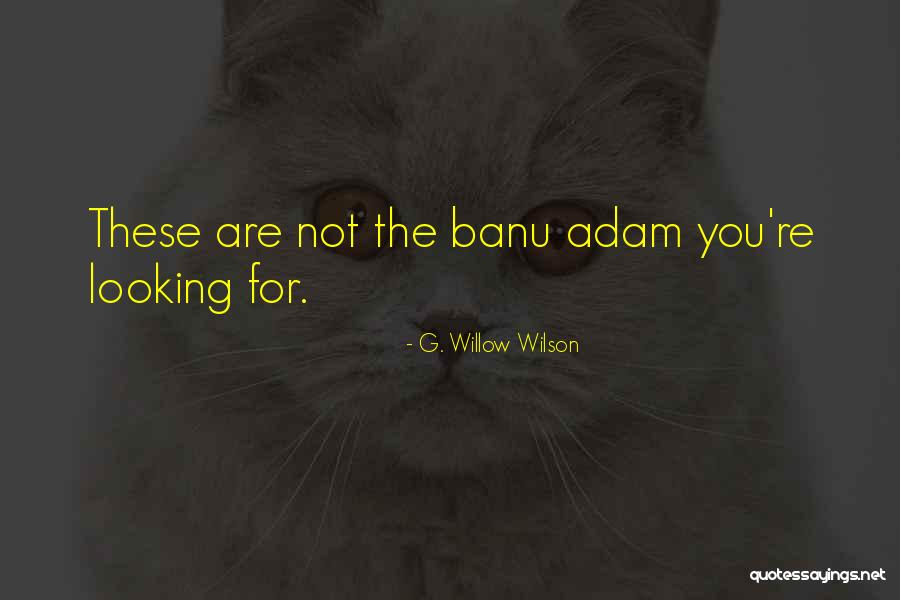 Reek Havoc Quotes By G. Willow Wilson Reek Havoc Quotes By G. Willow Wilson
