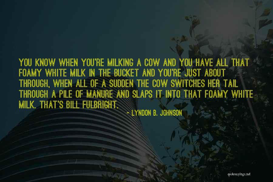 Reeks Of Desperation Quotes By Lyndon B. Johnson Reeks Of Desperation Quotes By Lyndon B. Johnson