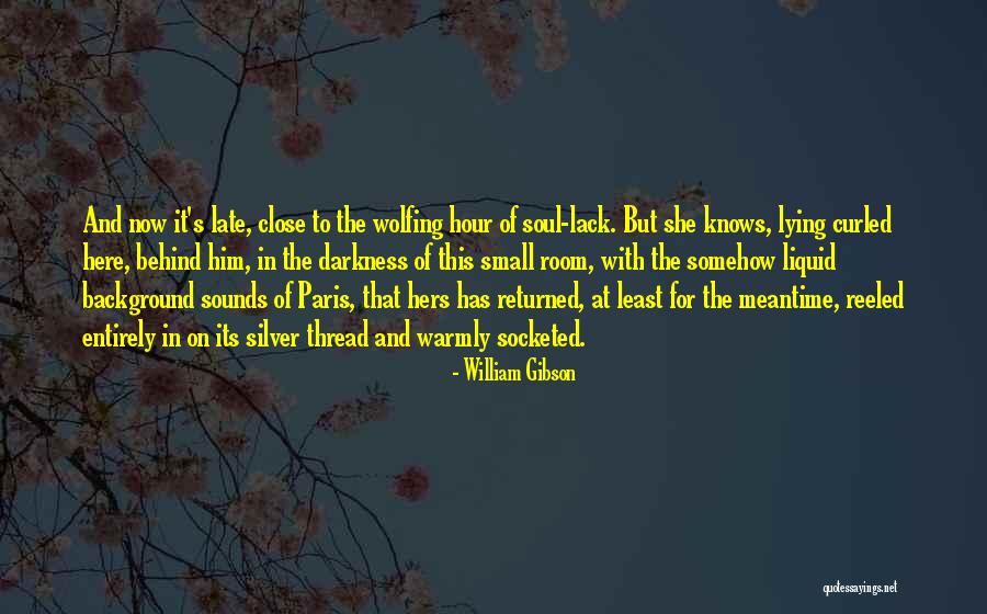 Reeled In Quotes By William Gibson Reeled In Quotes By William Gibson