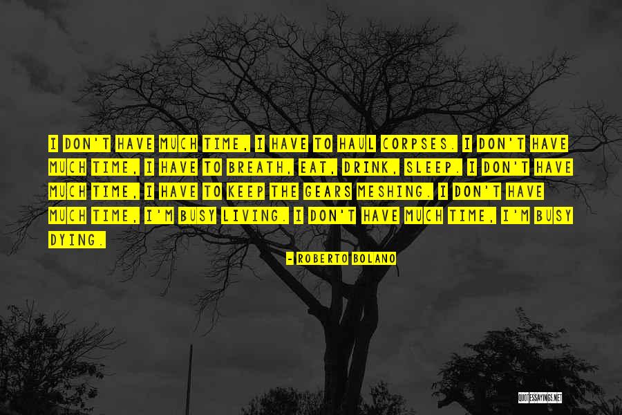 Reelin And Rockin Quotes By Roberto Bolano Reelin And Rockin Quotes By Roberto Bolano