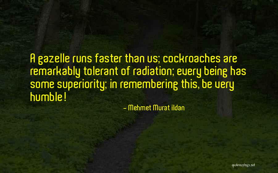 Reemplazado Definicion Quotes By Mehmet Murat Ildan Reemplazado Definicion Quotes By Mehmet Murat Ildan