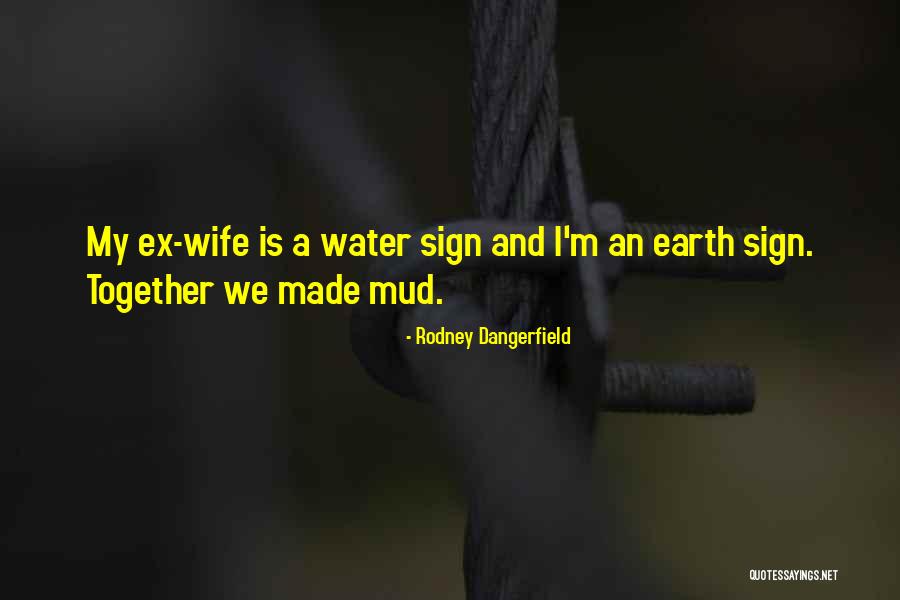 Reemplazar Quotes By Rodney Dangerfield Reemplazar Quotes By Rodney Dangerfield