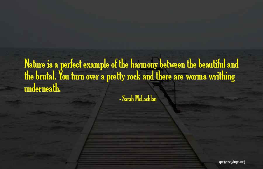 Reens Aqw Quotes By Sarah McLachlan Reens Aqw Quotes By Sarah McLachlan