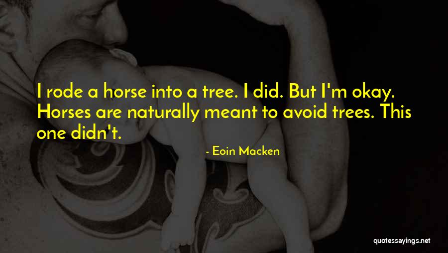 Reens Rockin Quotes By Eoin Macken Reens Rockin Quotes By Eoin Macken