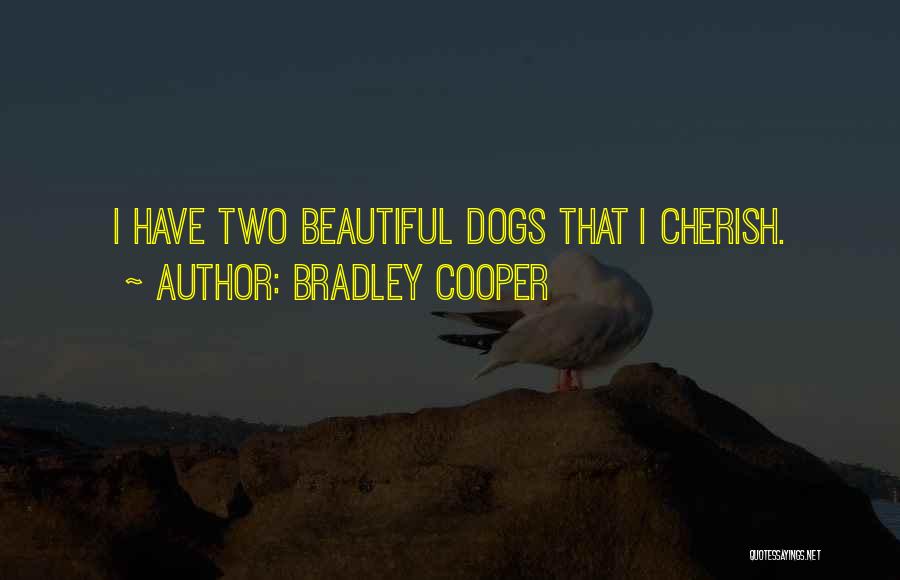 Reestablishing Temple Quotes By Bradley Cooper