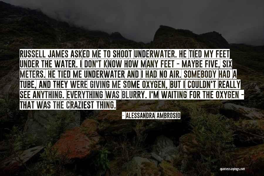 Reeves And Associates Quotes By Alessandra Ambrosio Reeves And Associates Quotes By Alessandra Ambrosio