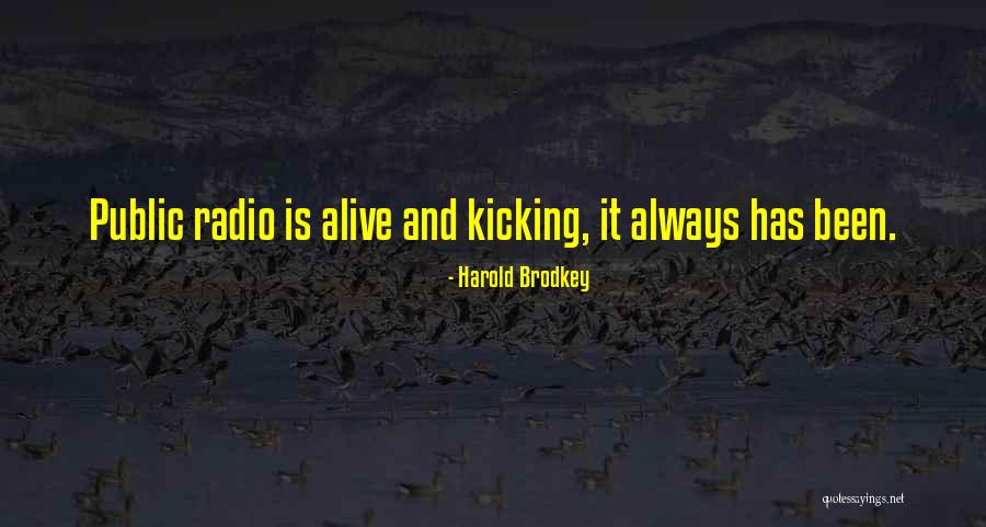 Reezena Quotes By Harold Brodkey Reezena Quotes By Harold Brodkey