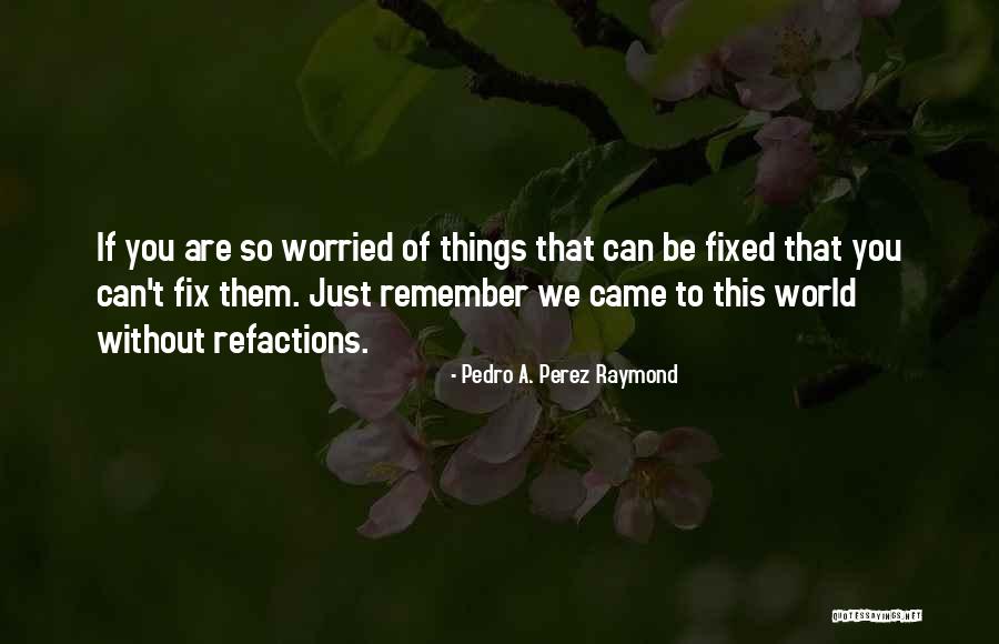 Refactions Quotes By Pedro A. Perez Raymond Refactions Quotes By Pedro A. Perez Raymond