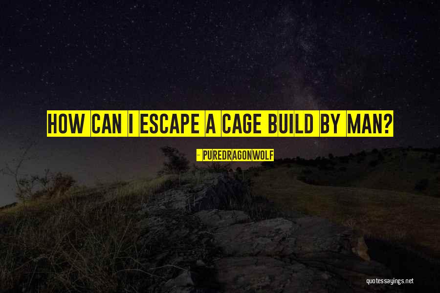 Refalona Quotes By PureDragonWolf Refalona Quotes By PureDragonWolf