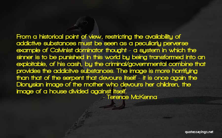 Referente Que Quotes By Terence McKenna Referente Que Quotes By Terence McKenna