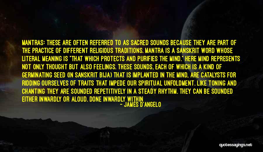 Referred By Quotes By James D'Angelo