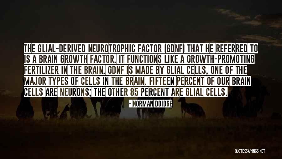 Referred By Quotes By Norman Doidge