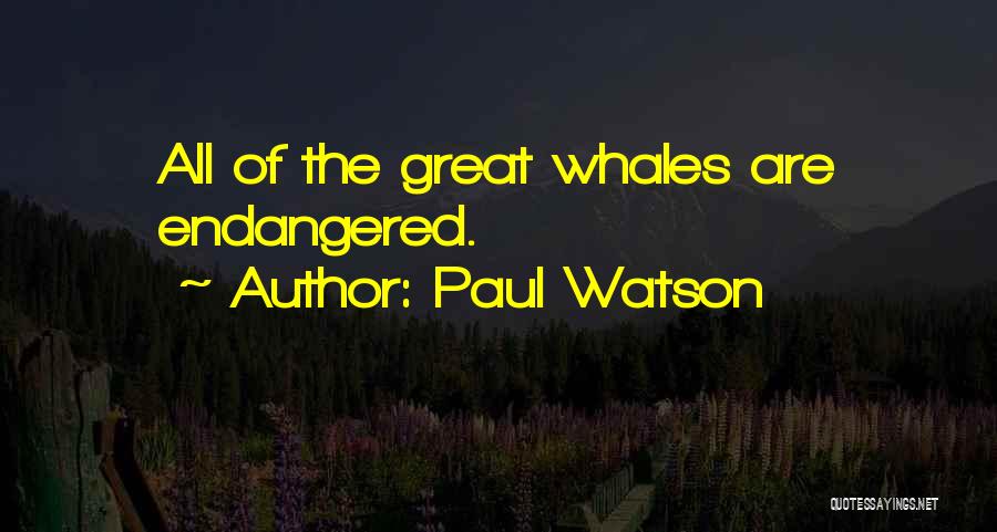 Referred Pain Quotes By Paul Watson