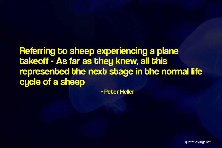 Referring To Life Quotes By Peter Heller Referring To Life Quotes By Peter Heller