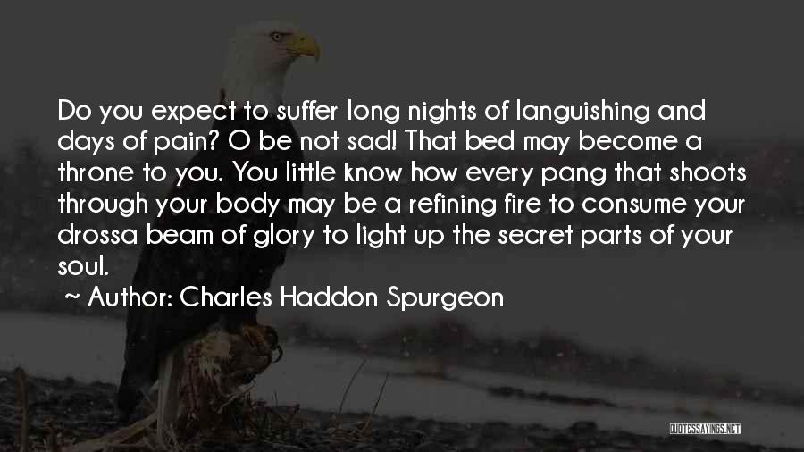 Refining Fire Quotes By Charles Haddon Spurgeon