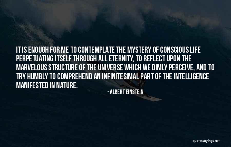 Reflect Nature Quotes By Albert Einstein