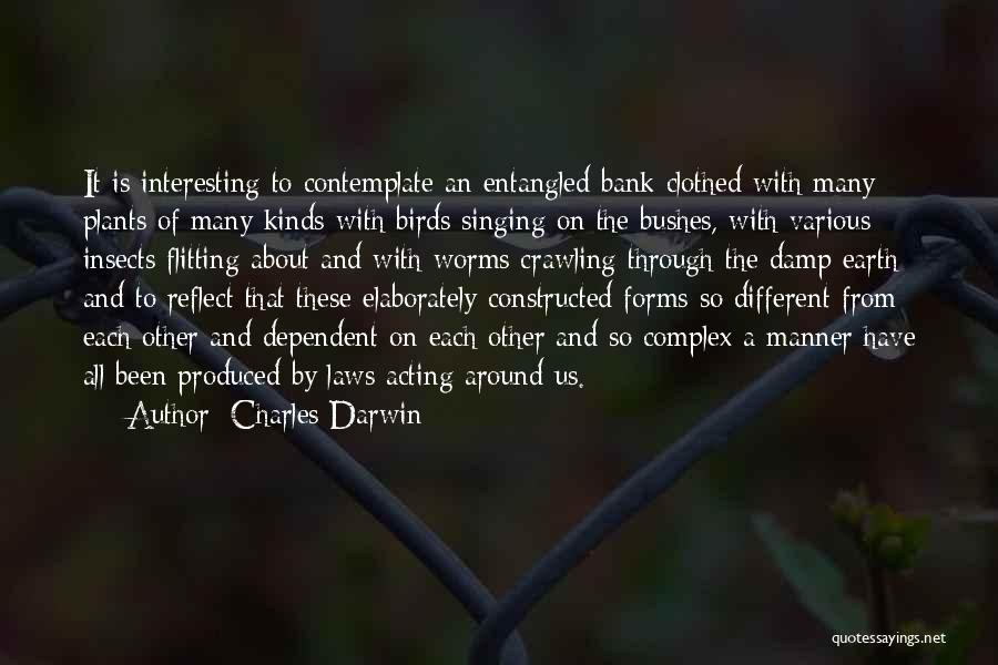 Reflect Nature Quotes By Charles Darwin