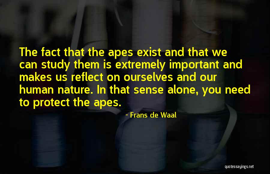 Reflect Nature Quotes By Frans De Waal