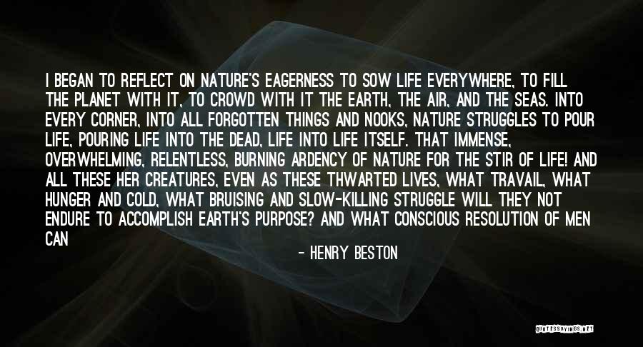 Reflect Nature Quotes By Henry Beston