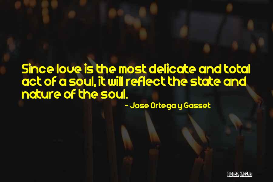 Reflect Nature Quotes By Jose Ortega Y Gasset