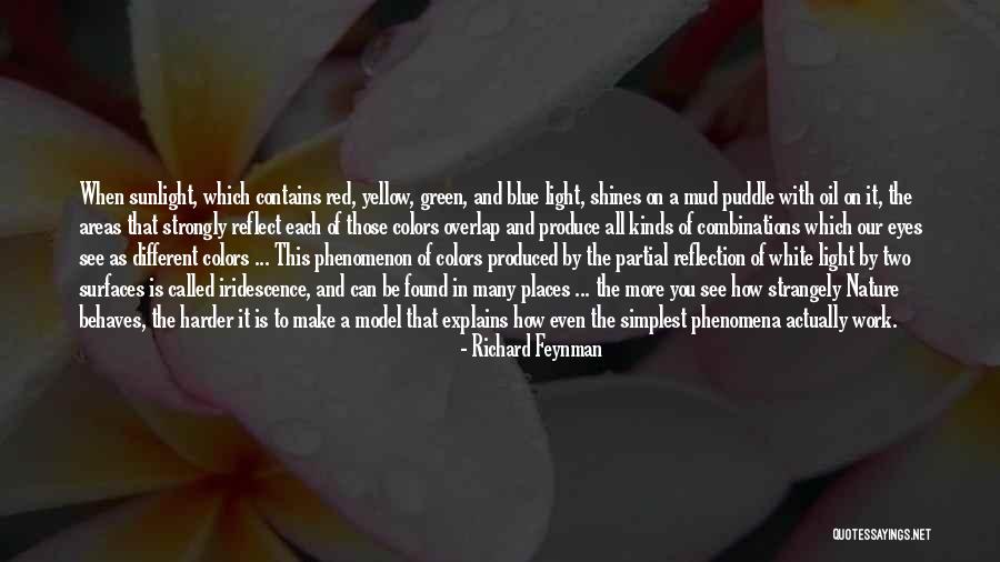 Reflect Nature Quotes By Richard Feynman