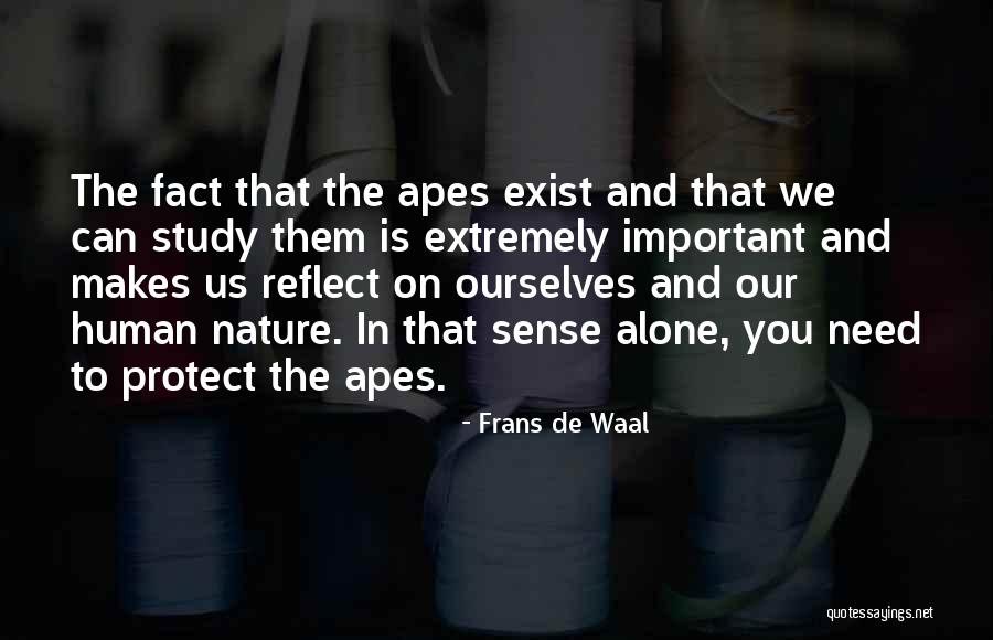 Reflect On Ourselves Quotes By Frans De Waal Reflect On Ourselves Quotes By Frans De Waal