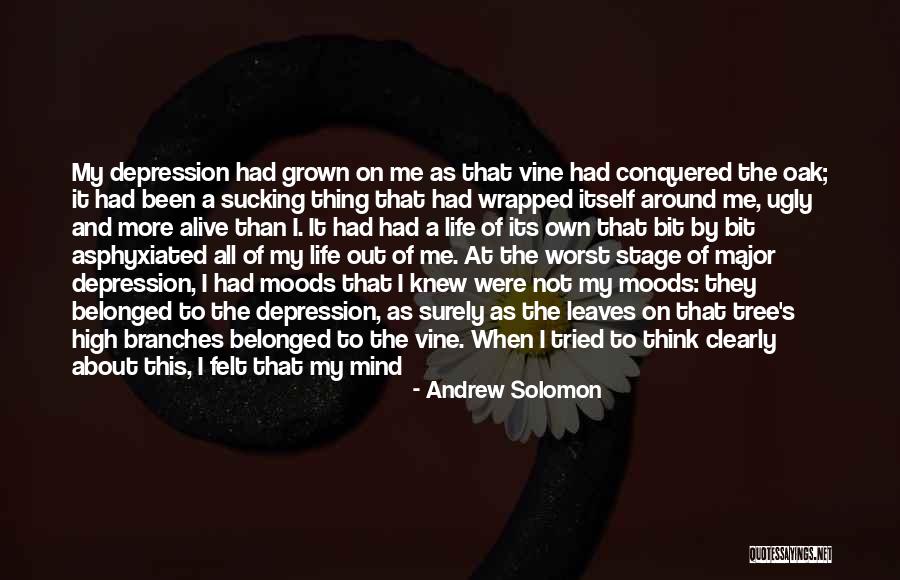 Reflectarea Quotes By Andrew Solomon Reflectarea Quotes By Andrew Solomon