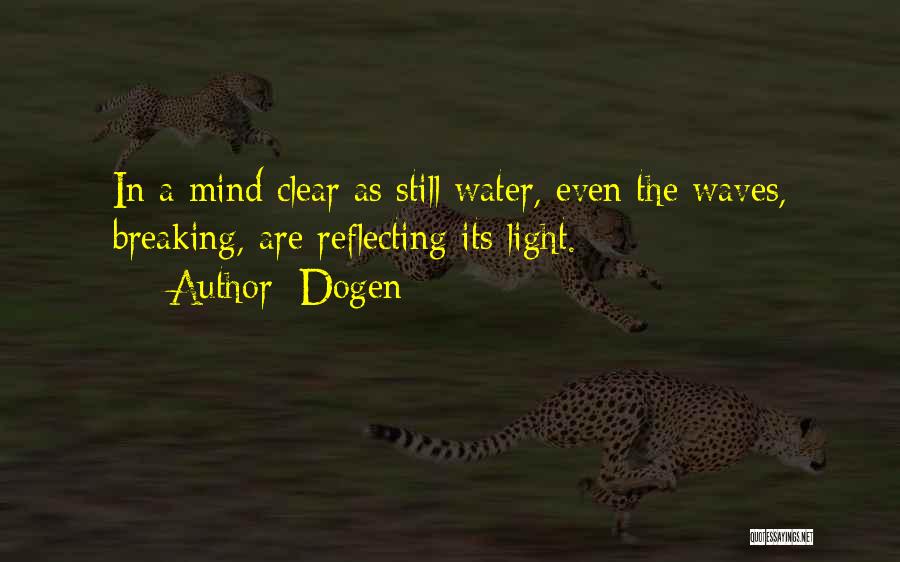 Reflecting Light Quotes By Dogen