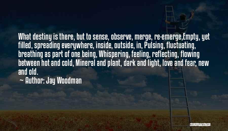 Reflecting Light Quotes By Jay Woodman