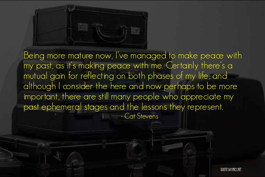Reflecting On Past Quotes By Cat Stevens Reflecting On Past Quotes By Cat Stevens