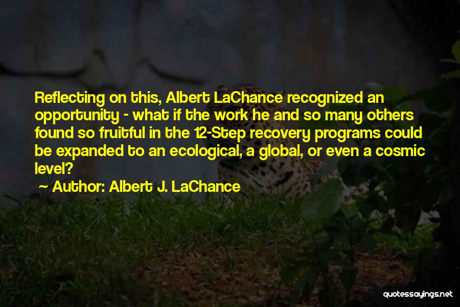 Reflecting On The Past Quotes By Albert J. LaChance