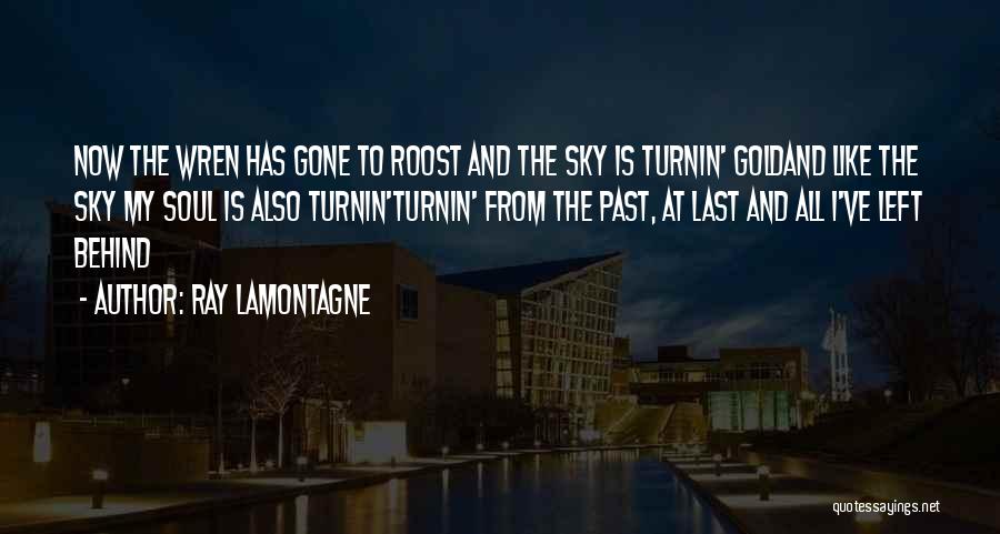 Reflecting On The Past Quotes By Ray Lamontagne
