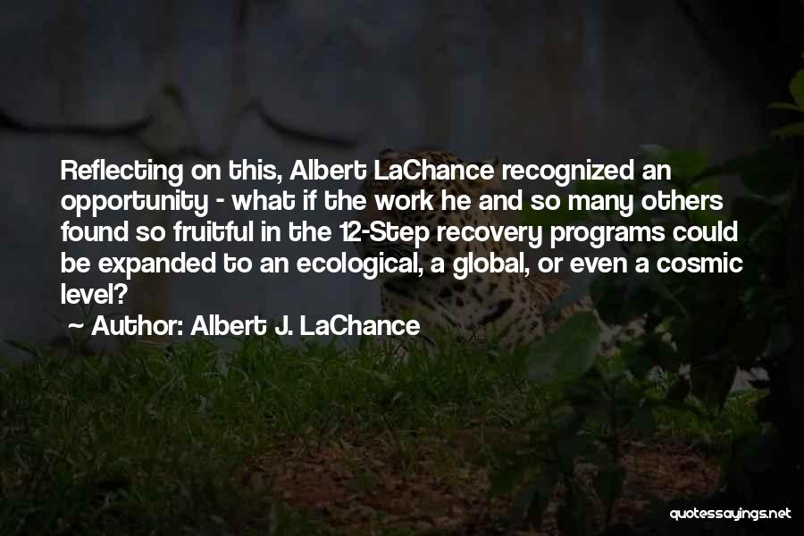 Reflecting On Yourself Quotes By Albert J. LaChance