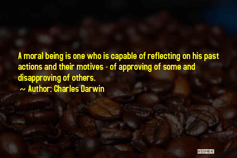 Reflecting Quotes By Charles Darwin