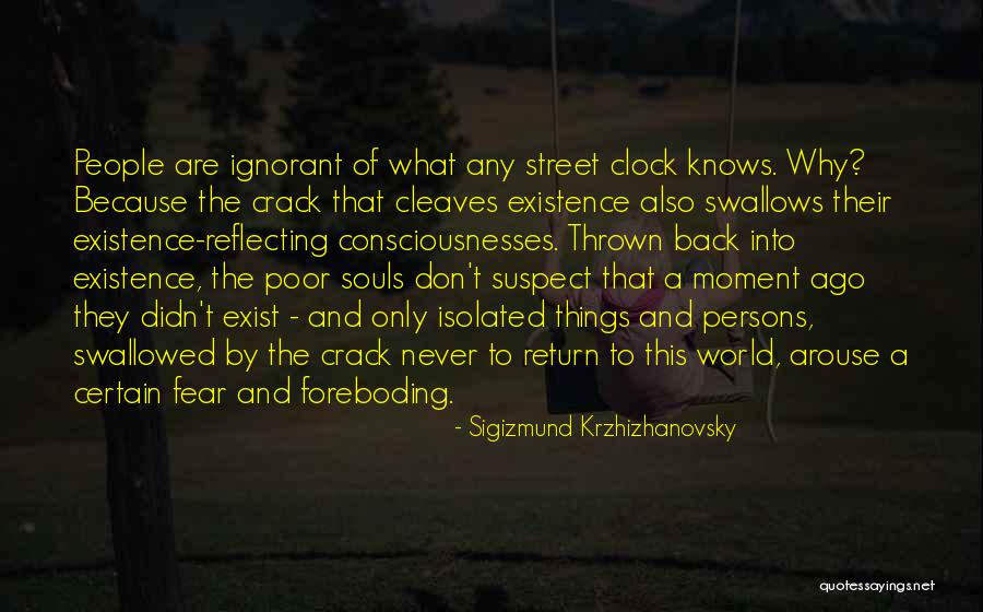 Reflecting Quotes By Sigizmund Krzhizhanovsky Reflecting Quotes By Sigizmund Krzhizhanovsky