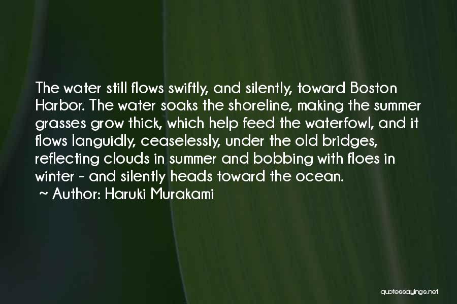 Reflecting Water Quotes By Haruki Murakami