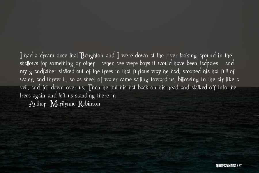 Reflecting Water Quotes By Marilynne Robinson