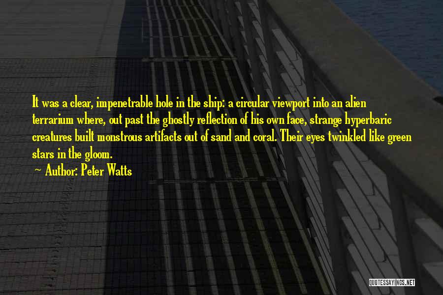 Reflection In Eyes Quotes By Peter Watts