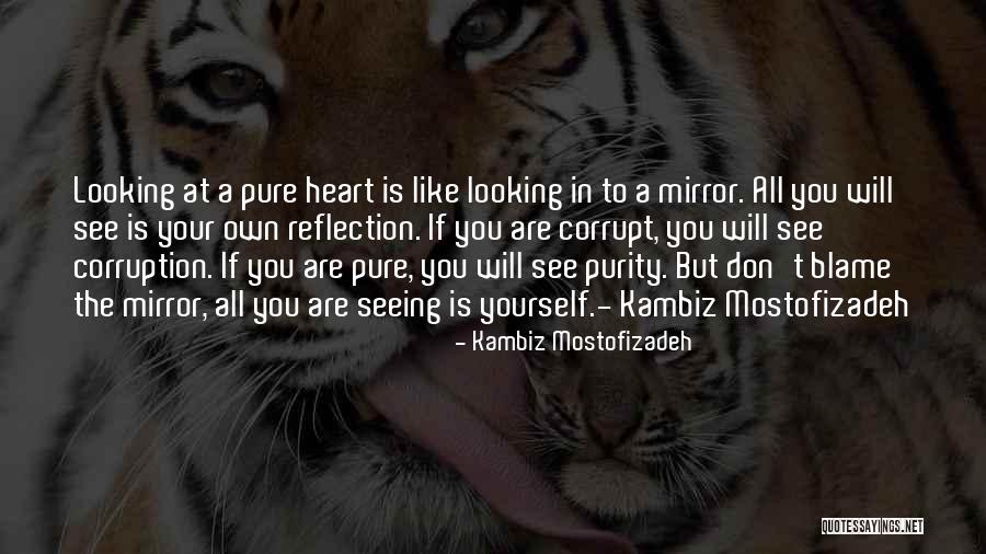 Reflection In Mirror Quotes By Kambiz Mostofizadeh Reflection In Mirror Quotes By Kambiz Mostofizadeh