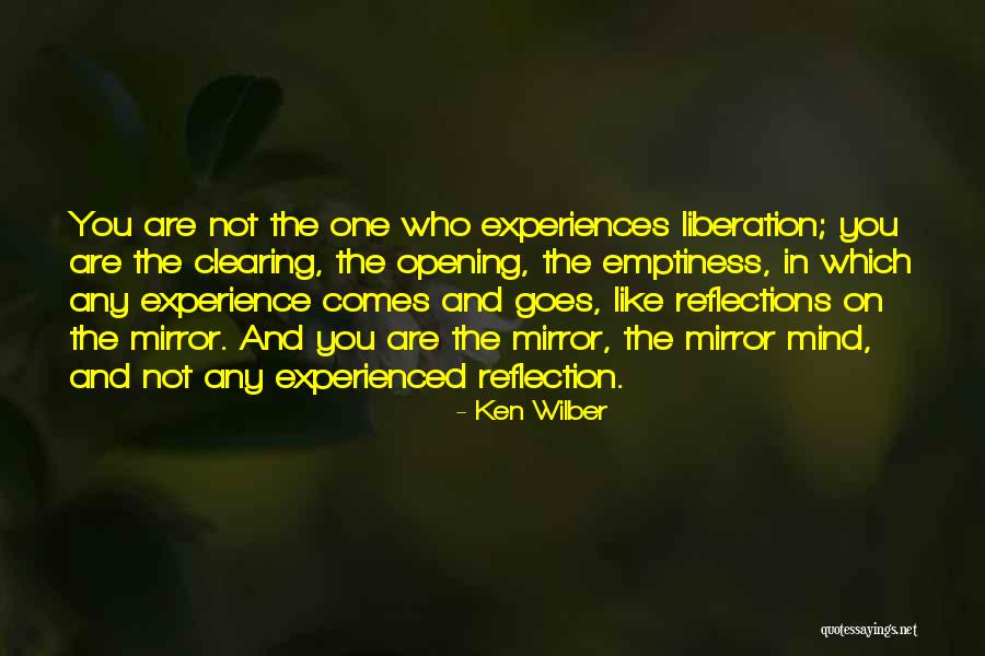 Reflection In Mirror Quotes By Ken Wilber Reflection In Mirror Quotes By Ken Wilber