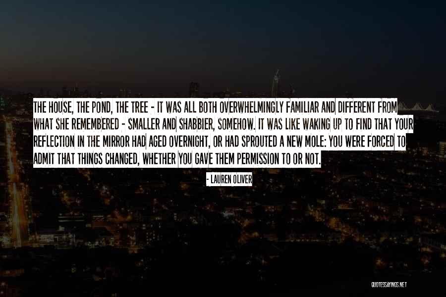 Reflection In Mirror Quotes By Lauren Oliver Reflection In Mirror Quotes By Lauren Oliver